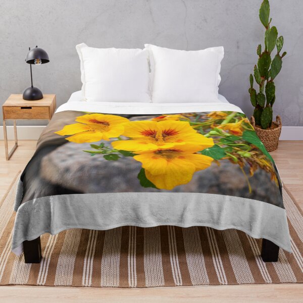 Item preview, Bright Yellow Nasturtium Flowers Close-Up in Garden With Round Green Leaves and Rocks designed and sold by Nmallia.