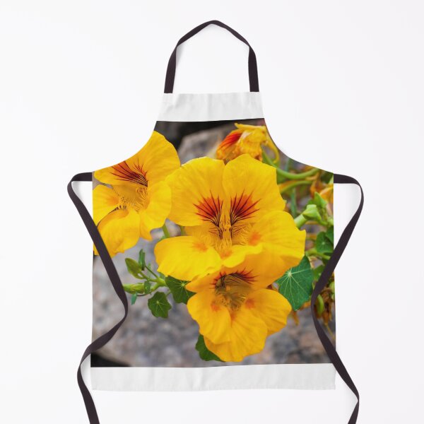 Item preview, Bright Yellow Nasturtium Flowers Close-Up in Garden With Round Green Leaves and Rocks designed and sold by Nmallia.