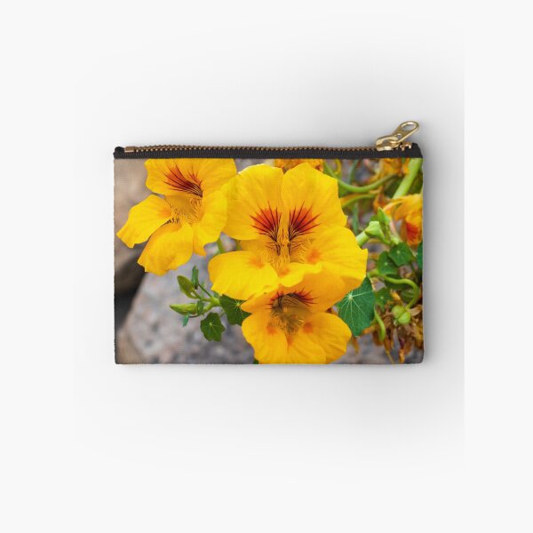 Item preview, Bright Yellow Nasturtium Flowers Close-Up in Garden With Round Green Leaves and Rocks designed and sold by Nmallia.