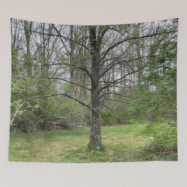 Item preview, This Tree designed and sold by Abeink1030.