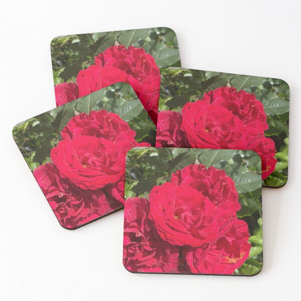 Item preview, Rosaceae: Geometry and Natural Spiral designed and sold by JhonBotanicalAr.