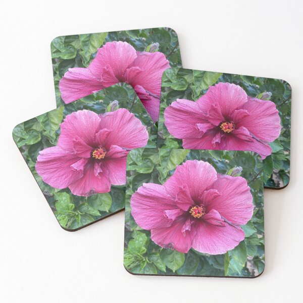 Item preview, Hibiscus: Anatomy of Color designed and sold by JhonBotanicalAr.
