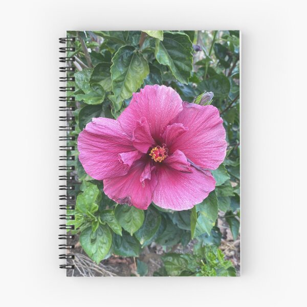 Item preview, Hibiscus: Anatomy of Color designed and sold by JhonBotanicalAr.