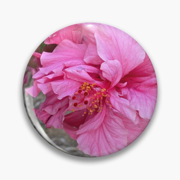 Item preview, Cayenne: The Projection of Form designed and sold by JhonBotanicalAr.