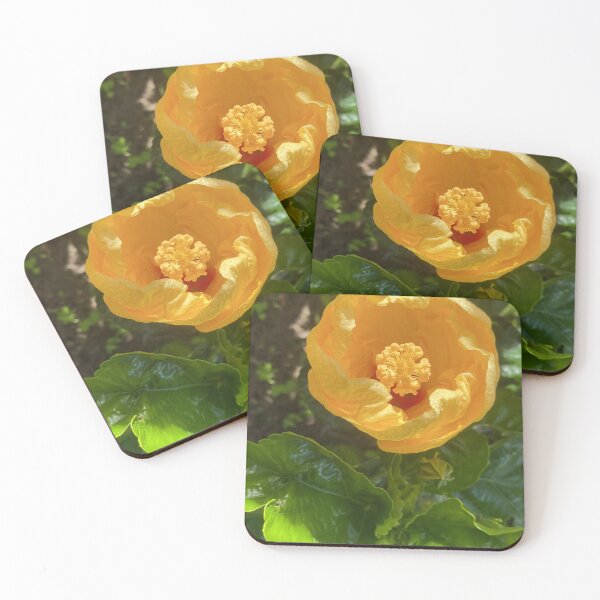 Item preview, Hibiscus: Radiation and Light designed and sold by JhonBotanicalAr.