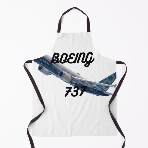 Item preview, Boeing 737 designed and sold by PacioSpace.