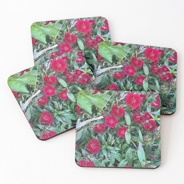 Item preview, Dianthus: Nature's Lace designed and sold by JhonBotanicalAr.