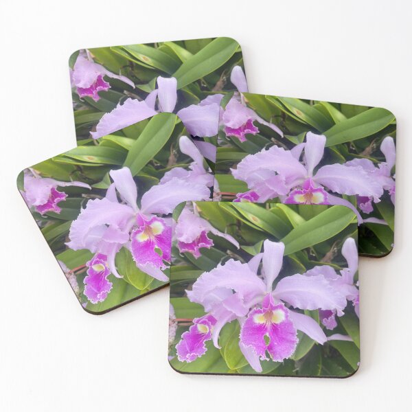 Item preview, Cattleya: The Splendor of Symmetry designed and sold by JhonBotanicalAr.