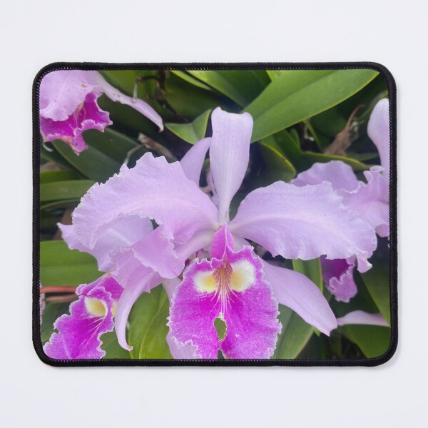 Item preview, Cattleya: The Splendor of Symmetry designed and sold by JhonBotanicalAr.