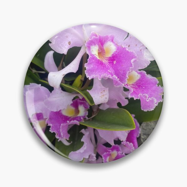 Item preview, Flor de Mayo: Architecture and Legacy designed and sold by JhonBotanicalAr.