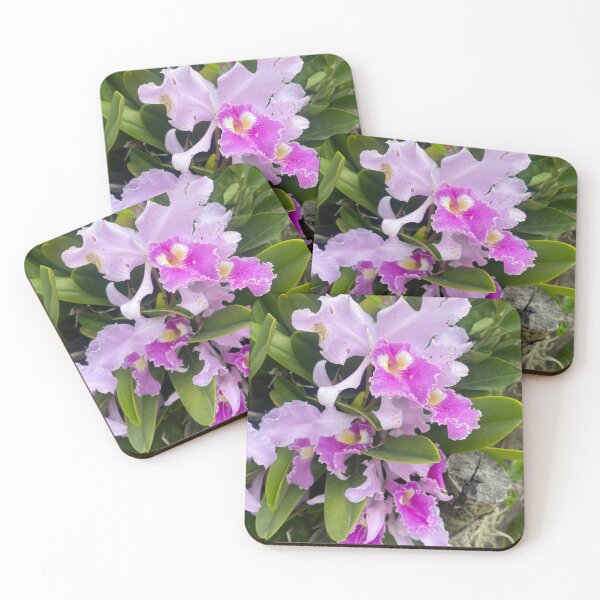Item preview, Flor de Mayo: Architecture and Legacy designed and sold by JhonBotanicalAr.