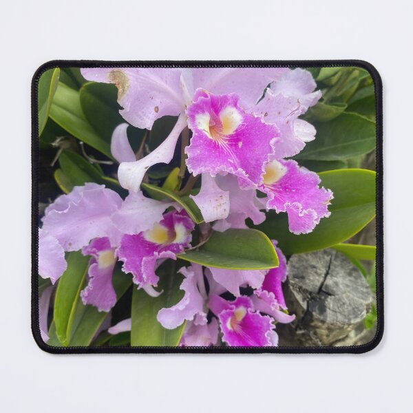 Item preview, Flor de Mayo: Architecture and Legacy designed and sold by JhonBotanicalAr.