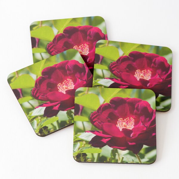 Item preview, red rose greeting designed and sold by derekrich.