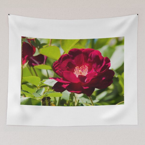 Item preview, red rose greeting designed and sold by derekrich.