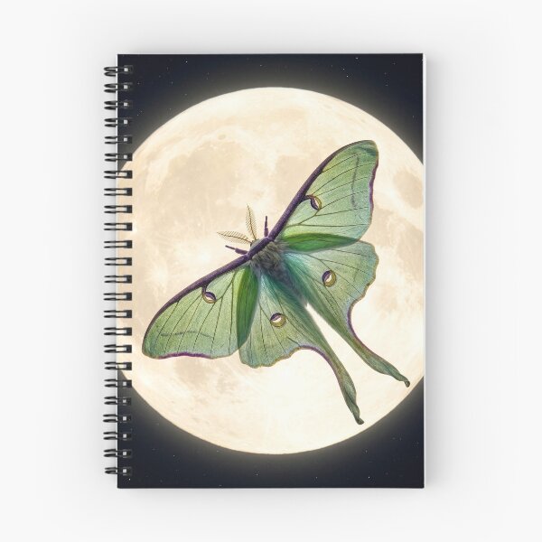 Item preview, Luna Moth Under a Full Moon designed and sold by Tridentulus.