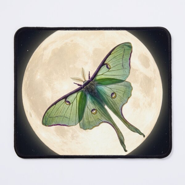 Item preview, Luna Moth Under a Full Moon designed and sold by Tridentulus.