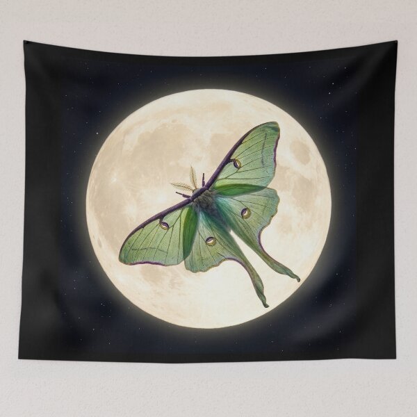 Item preview, Luna Moth Under a Full Moon designed and sold by Tridentulus.