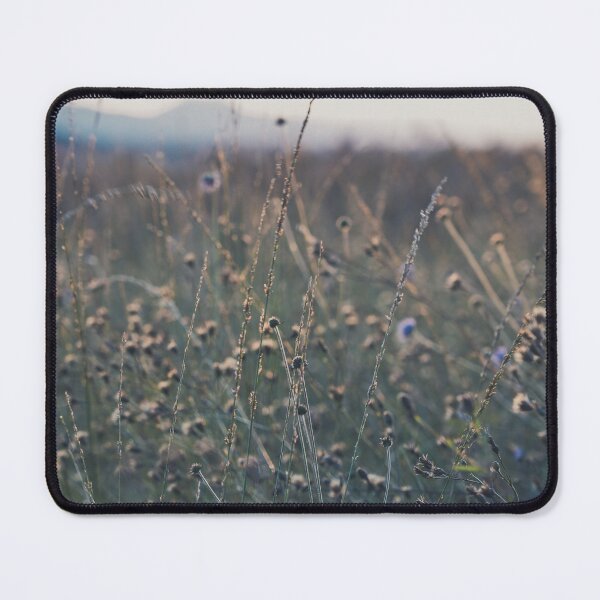 Item preview, Meadow at sunset designed and sold by @Mirettes_et_gambettes.