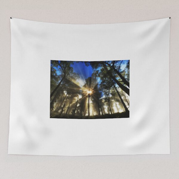 Item preview, Forest mist, Mt. Buffalo designed and sold by Kevin McGennan.