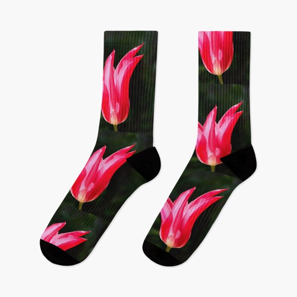 Artikelvorschau, Rote Tulpe entworfen und verkauft von EmmeB77.