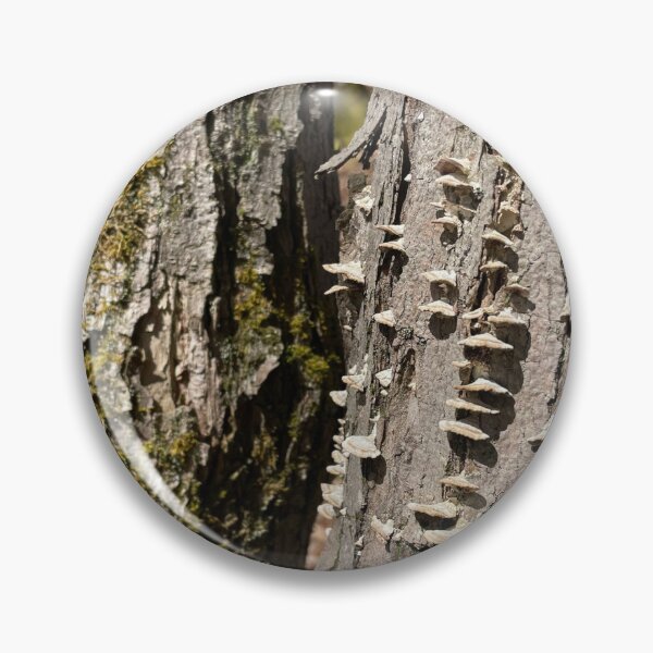 Item preview, Spring Polypore designed and sold by Warm Fuzzies By Amanda.
