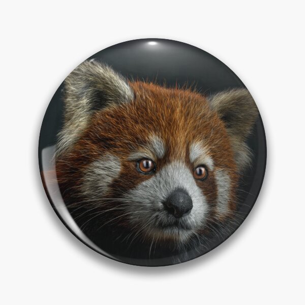Item preview, Red Panda designed and sold by Savannah Gibbs.