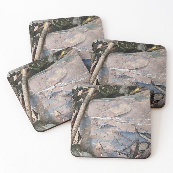 Item preview, Natural Stone with Fallen Leaves Wall Art designed and sold by Corzo-Studios.