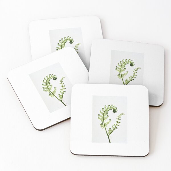 Item preview, plant♥ designed and sold by RAY0T.
