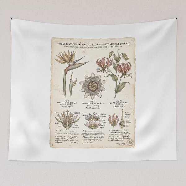 Item preview, Botanical Science Lab - Nature's Blueprint designed and sold by FlamaC.