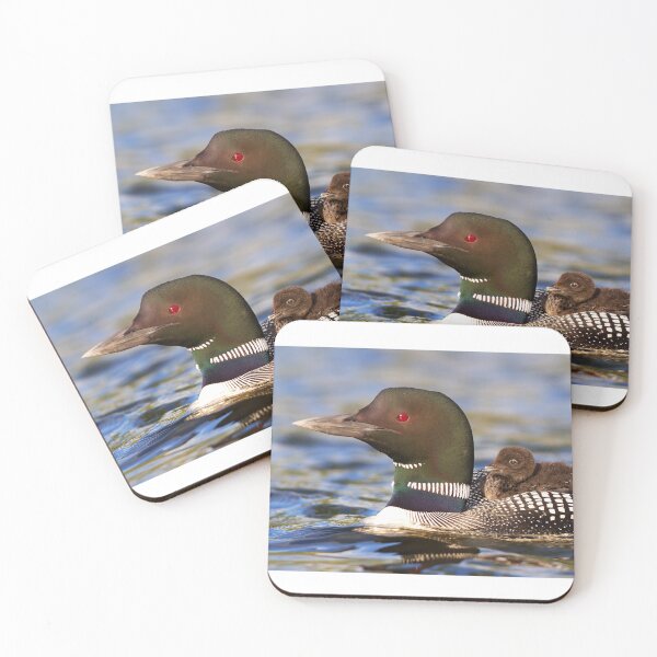 Item preview, Common loon and chick designed and sold by James Cumming.