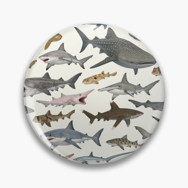 Item preview, Sharks of the World Retro Style Wildlife Identification Chart designed and sold by kakarikihill.