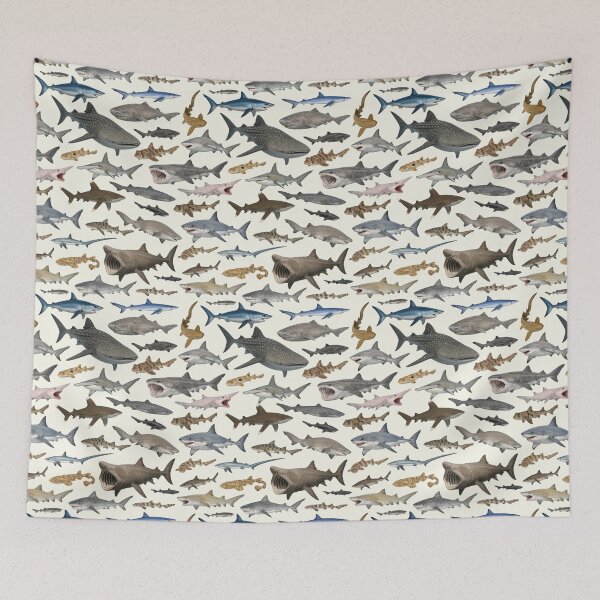 Item preview, Sharks of the World Retro Style Wildlife Identification Chart designed and sold by kakarikihill.