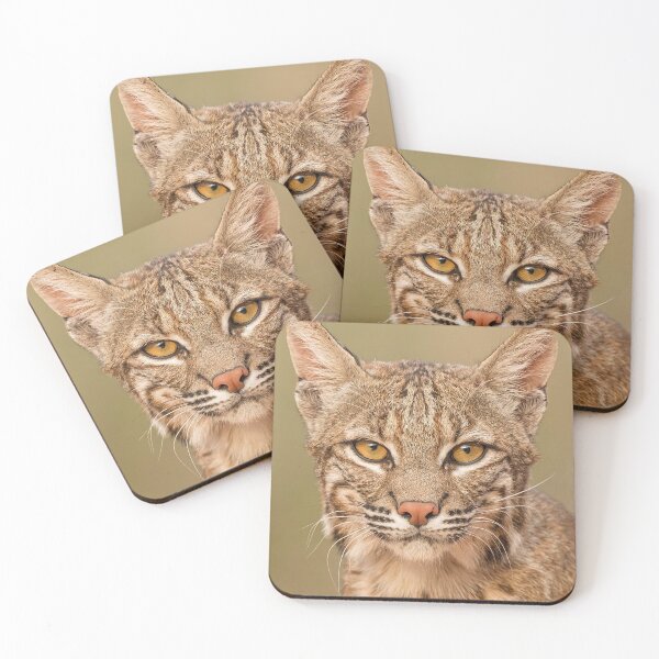 Item preview, Young Lynx designed and sold by MorningFive.