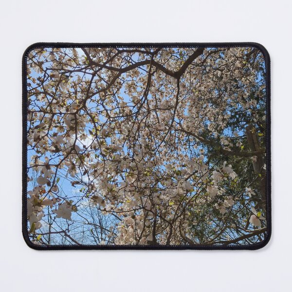 Item preview, Under the Magnolia Tree designed and sold by Jkund19.