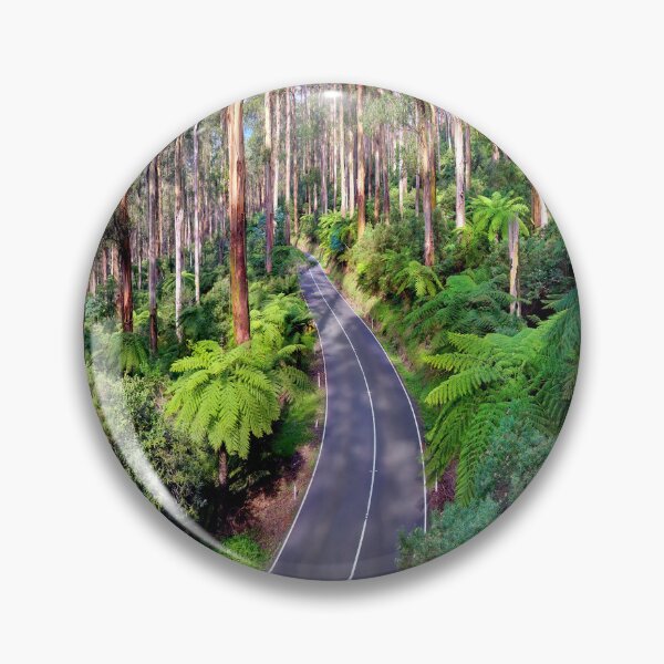 Item preview, Black Spur Drive - Victoria - Australia - Tree Ferns and Tall Gums Yarra Valley designed and sold by Adam Gormley.