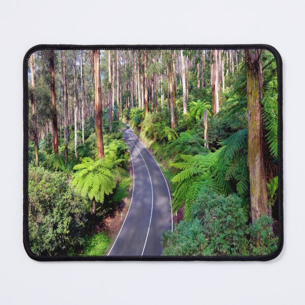 Item preview, Black Spur Drive - Victoria - Australia - Tree Ferns and Tall Gums Yarra Valley designed and sold by Adam Gormley.