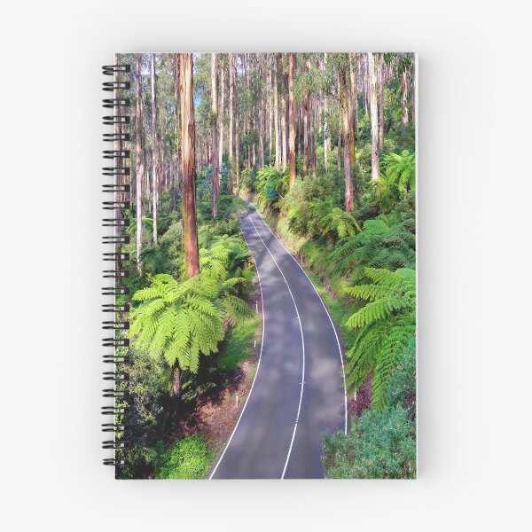 Item preview, Black Spur Drive - Victoria - Australia - Tree Ferns and Tall Gums Yarra Valley designed and sold by Adam Gormley.
