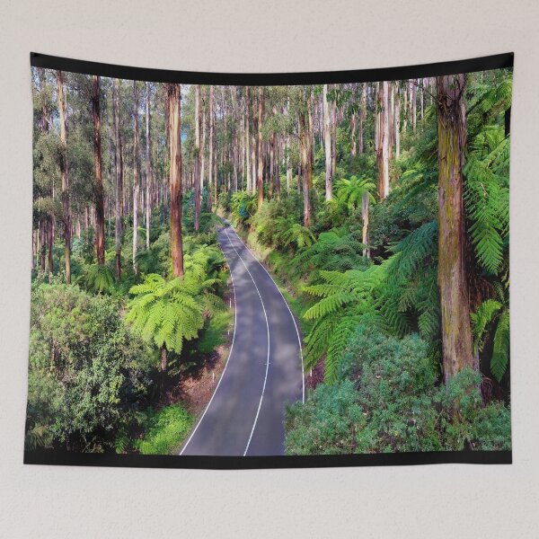 Item preview, Black Spur Drive - Victoria - Australia - Tree Ferns and Tall Gums Yarra Valley designed and sold by Adam Gormley.