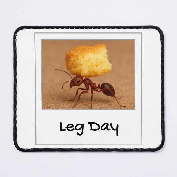 Item preview, Leg Day designed and sold by YMFunnies.