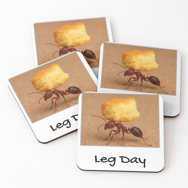 Item preview, Leg Day designed and sold by YMFunnies.