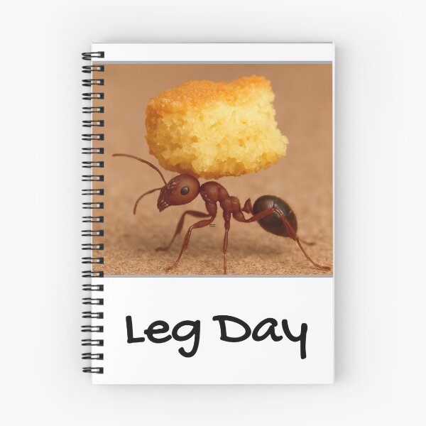 Item preview, Leg Day designed and sold by YMFunnies.