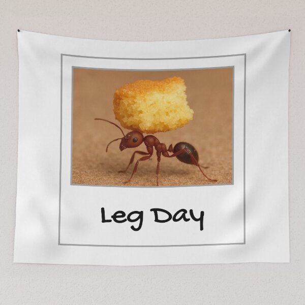 Item preview, Leg Day designed and sold by YMFunnies.