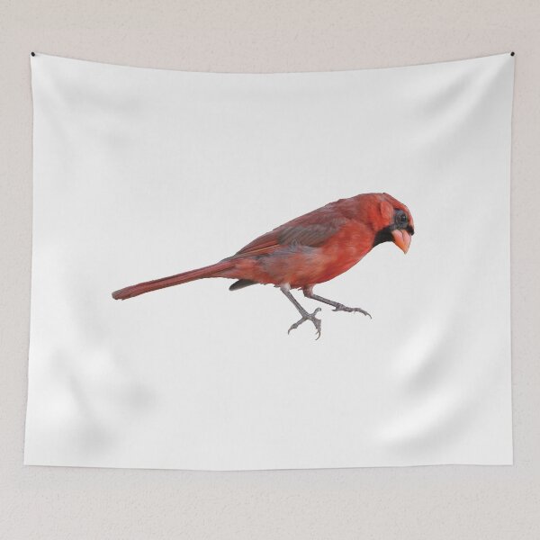 Item preview, Red Bird designed and sold by cmcheng.