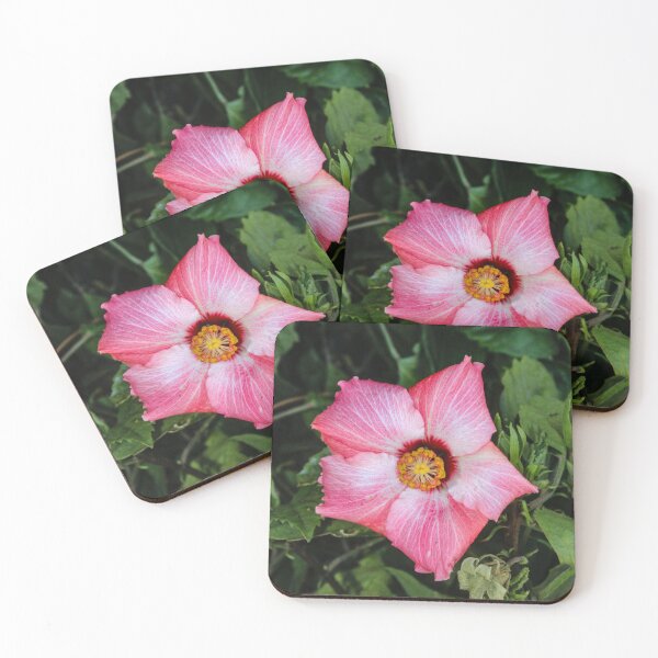 Item preview, Star Flower designed and sold by CreatiLina.