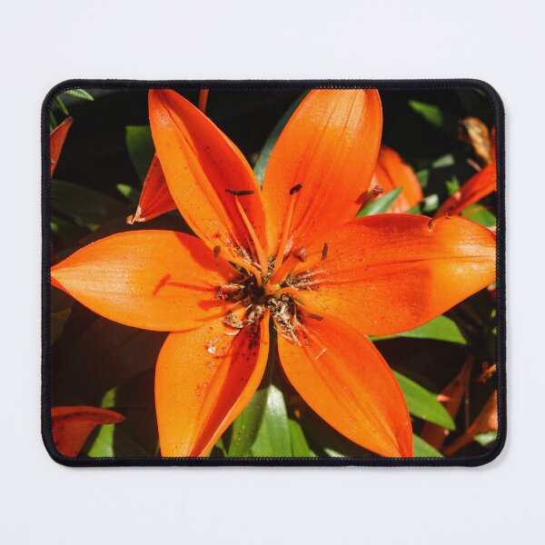 Item preview, Orange Lily designed and sold by CreatiLina.