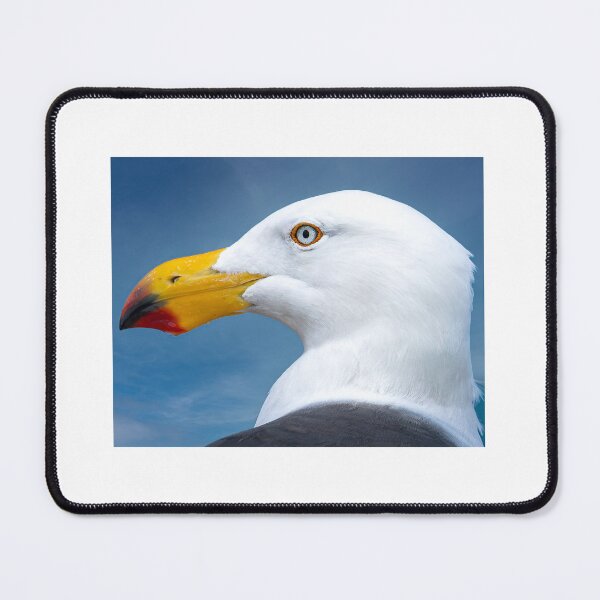 Item preview, Pacific Gull designed and sold by stephendean.