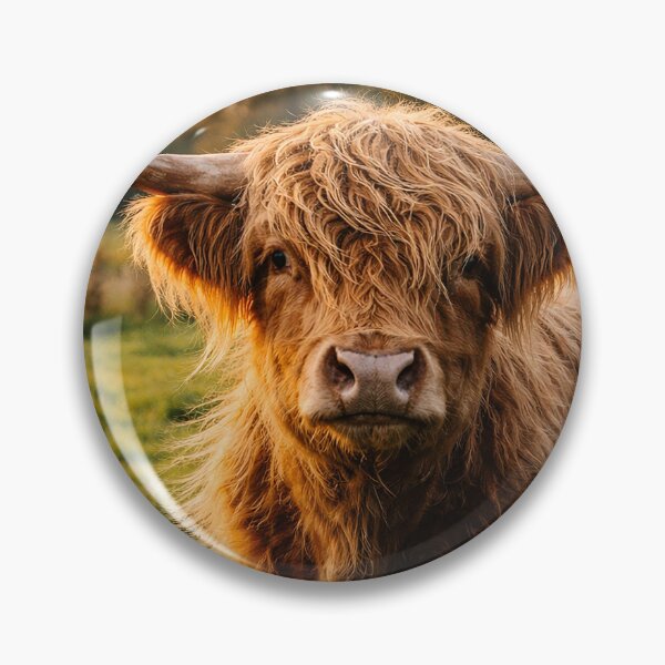 Item preview, Golden Highland Gaze designed and sold by Pixel Junkies Studio.