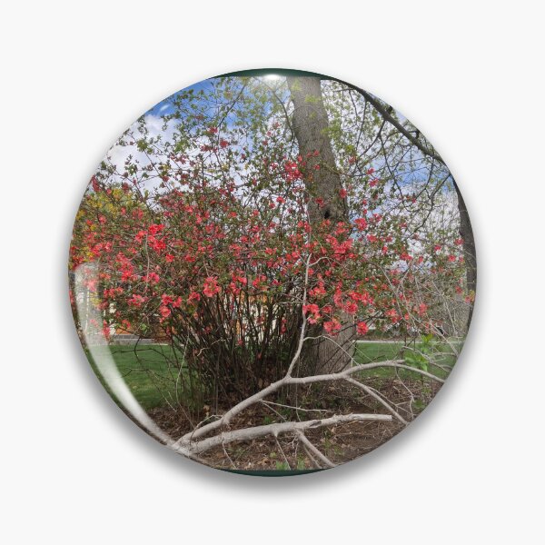 Item preview, Flowering Quince Bush  designed and sold by Amanda1775.