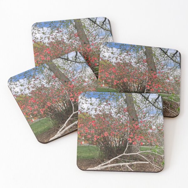 Item preview, Flowering Quince Bush  designed and sold by Amanda1775.