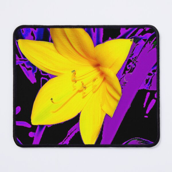 Item preview, Lily in Full Bloom, Digital Illustration designed and sold by AMacGPhilly.